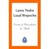 From a Mountain In Tibet : A Monk's Journey (Paperback)