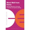 Work Well from Home : Staying Effective in the Age of Remote and Hybrid Working (Paperback)